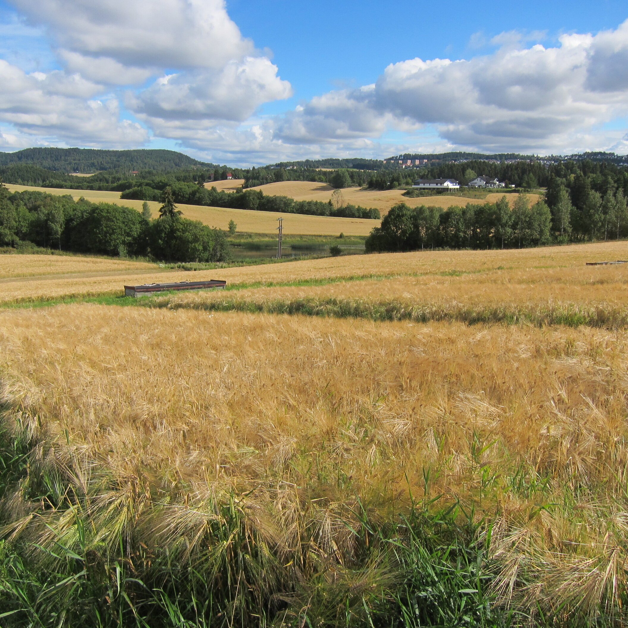 Forsøksfeltet, Hellerud gård