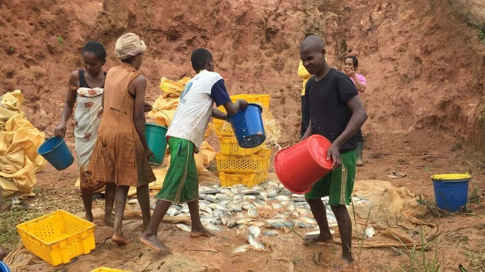 Velfortjent fredspris til WFP