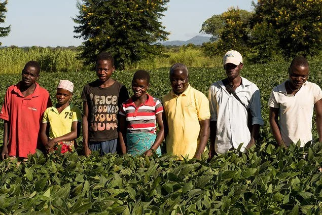  Noen av de 20 000 bøndene som produserer soyafrø for IKURU. / Some of the 20 000 farmers who produces soy seeds for IKURU. 