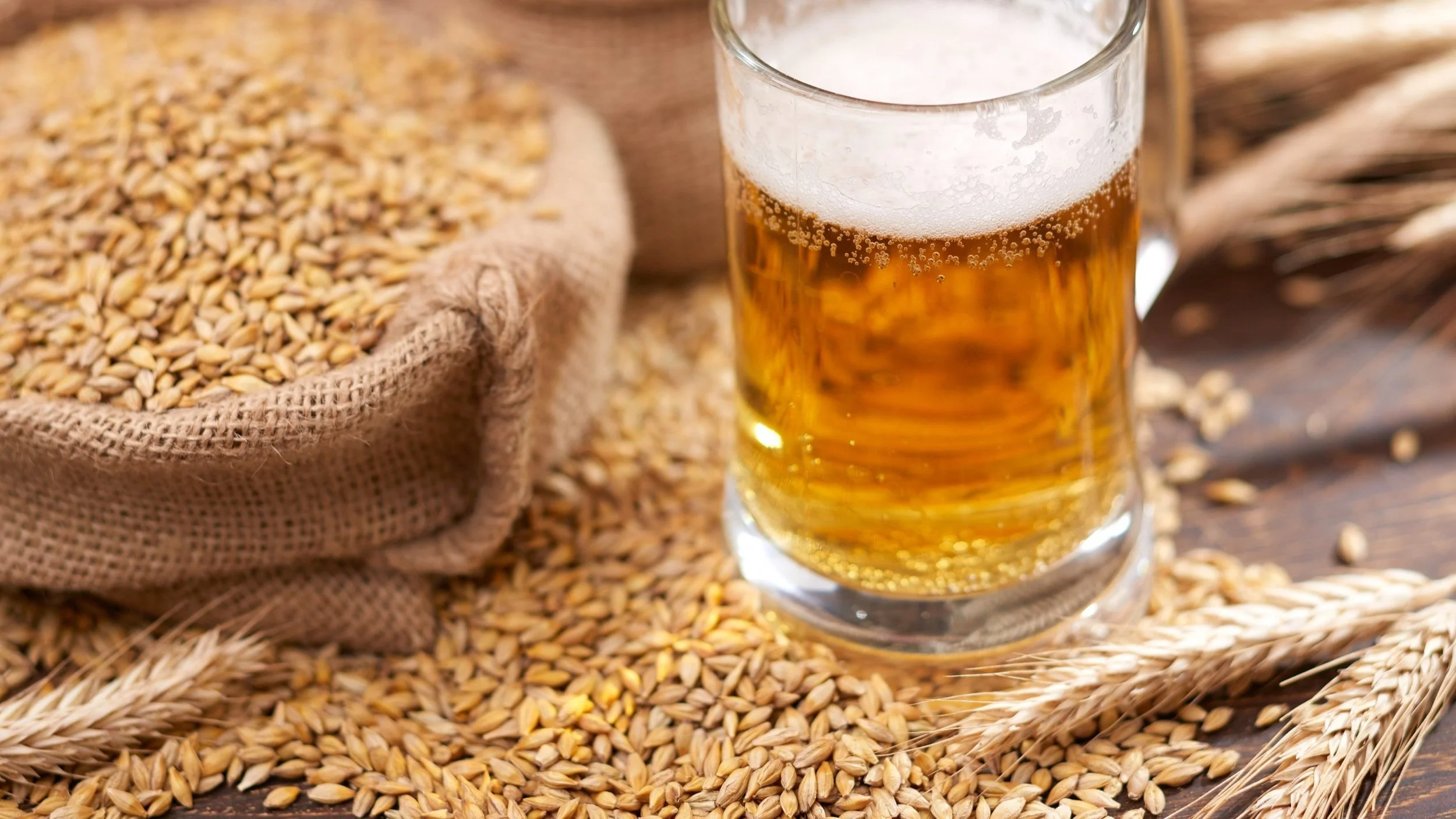 Norske og nordiske byggsorter til malt