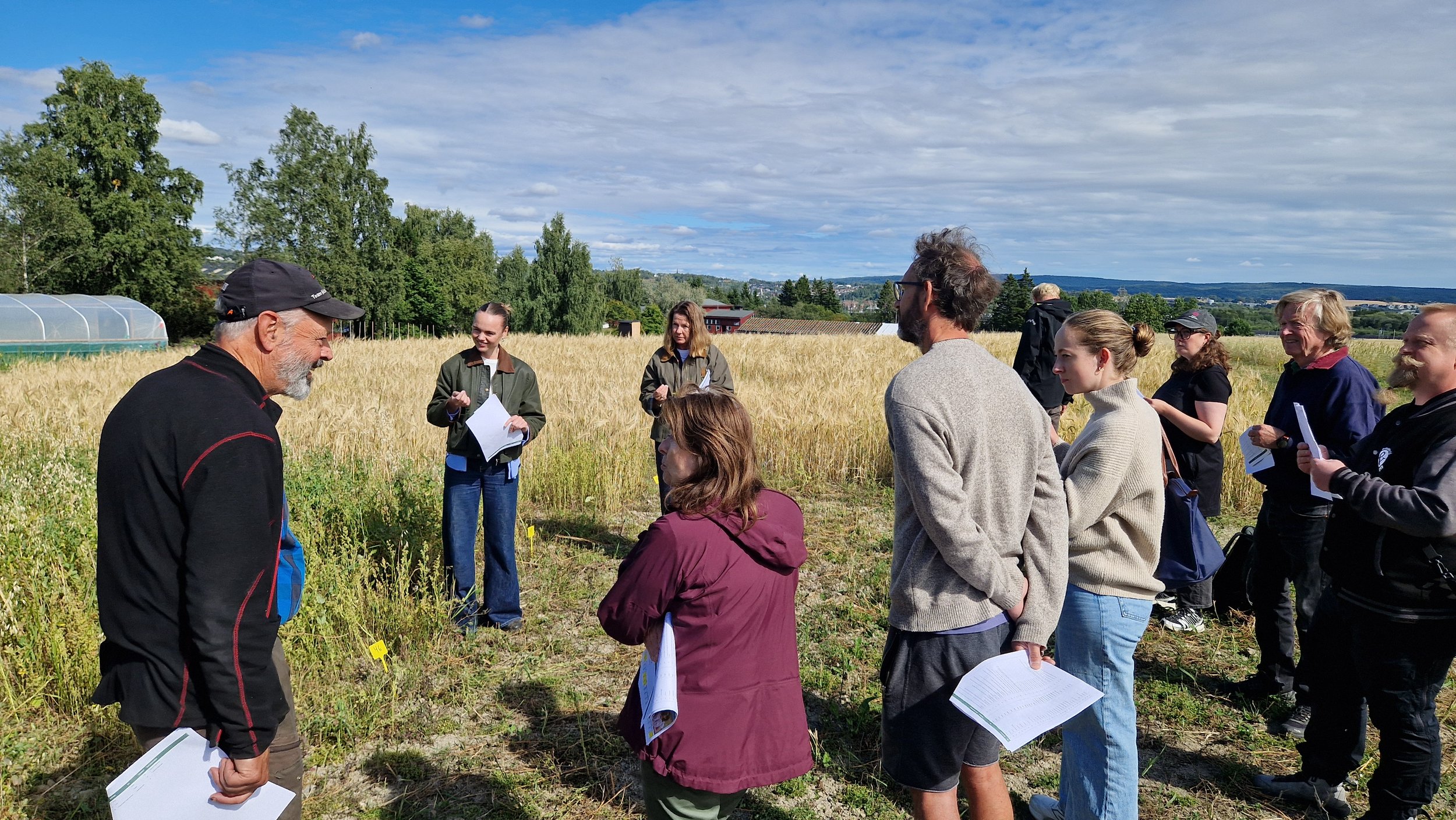 Gruppe mennesker som deltar på en utendørs forelesning eller workshop i en åker med gullhvete, med trær, bygninger og fjell i bakgrunnen på en overskyet dag.