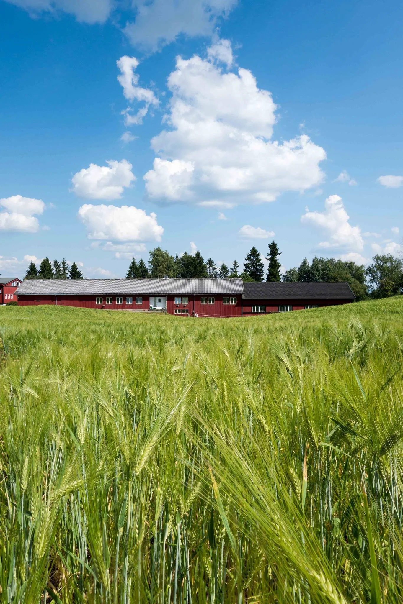 Frittstående red bulevardbygning i landlig setting med grønne åkre og trær under en blå himmel med skyer.