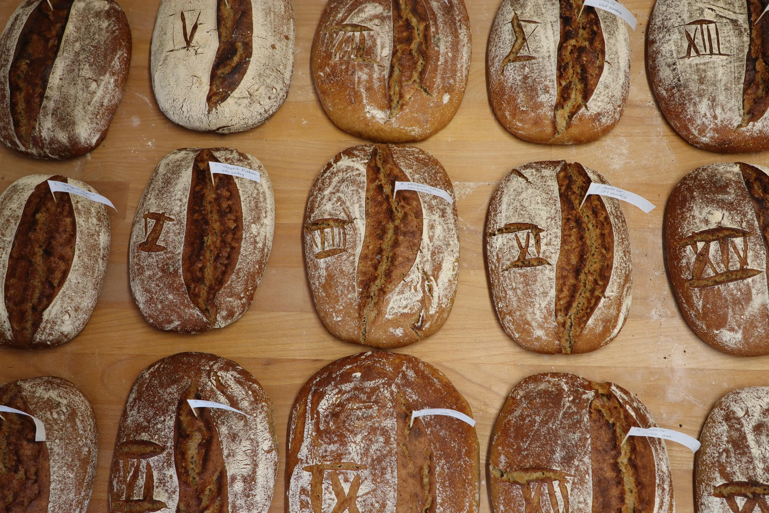 Tosser av brød med ulike rune- eller symbolsk (vikingaktige) inskripsjoner på hver brødskorpe, lagt ut på en trebord.