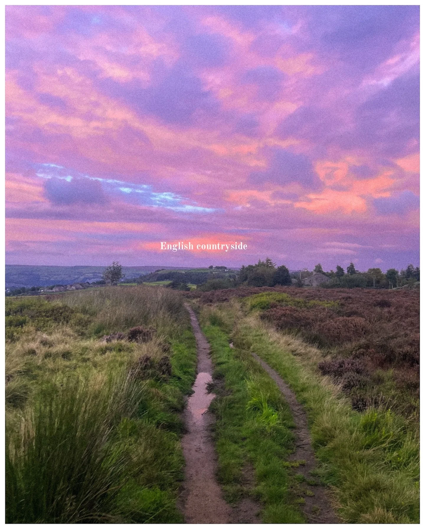 Around the world ✨

Shot on @apple iPhone.
Edited in @lightroom 

#madewithlightroom 
#shotonapple