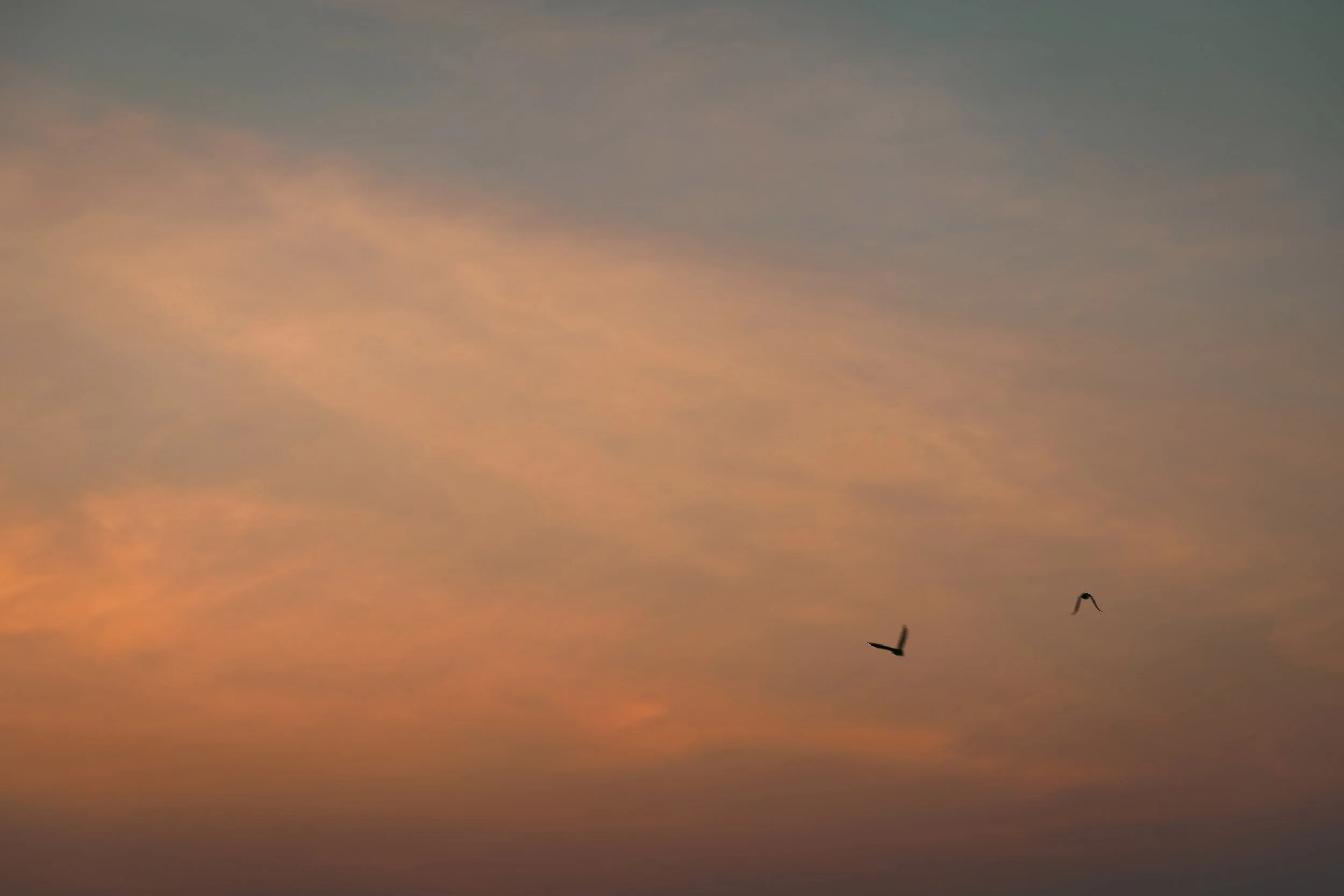 42_Sarah Chandy_artwork.jpg