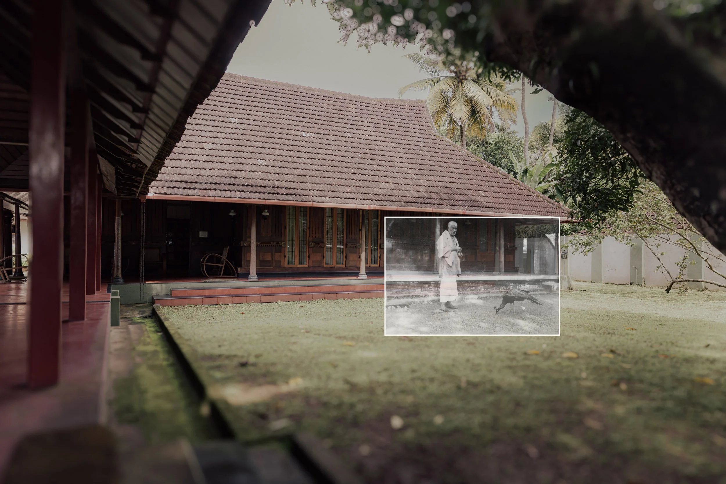 47_Sarah Chandy_artwork.jpg