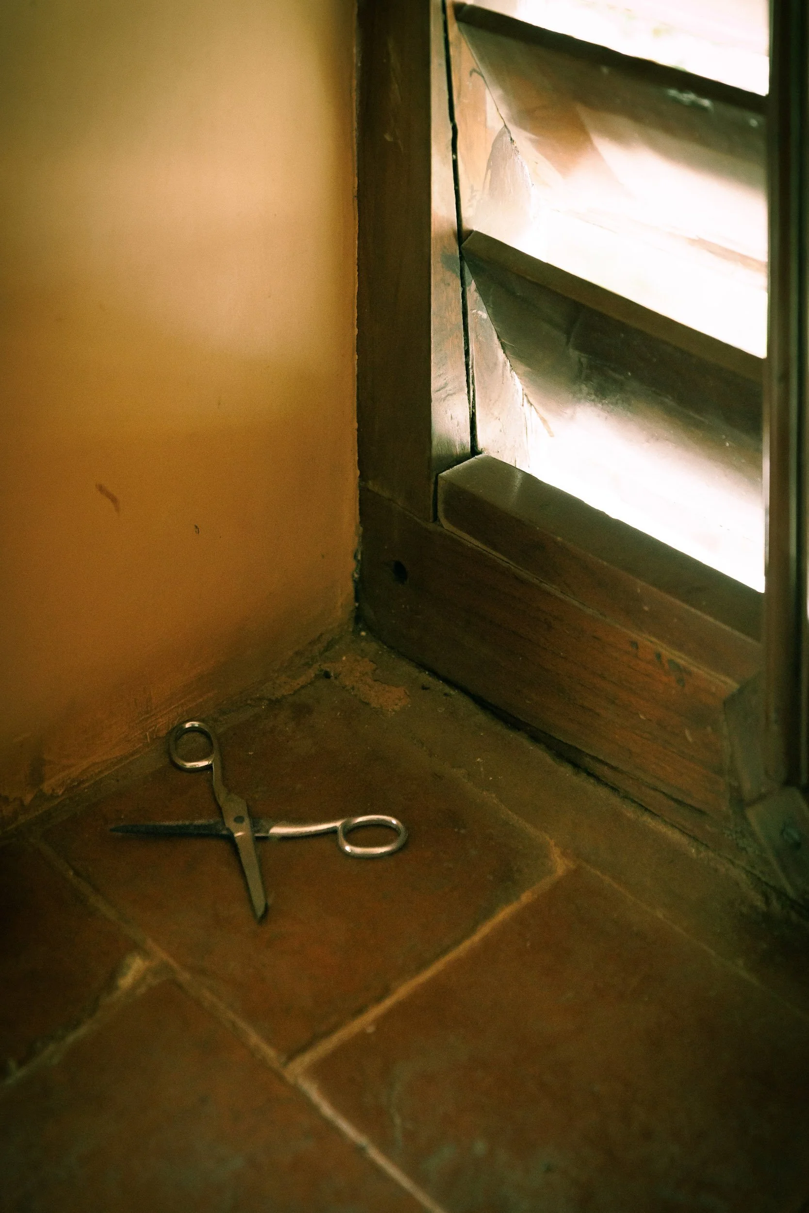 40_Sarah Chandy_artwork.jpg