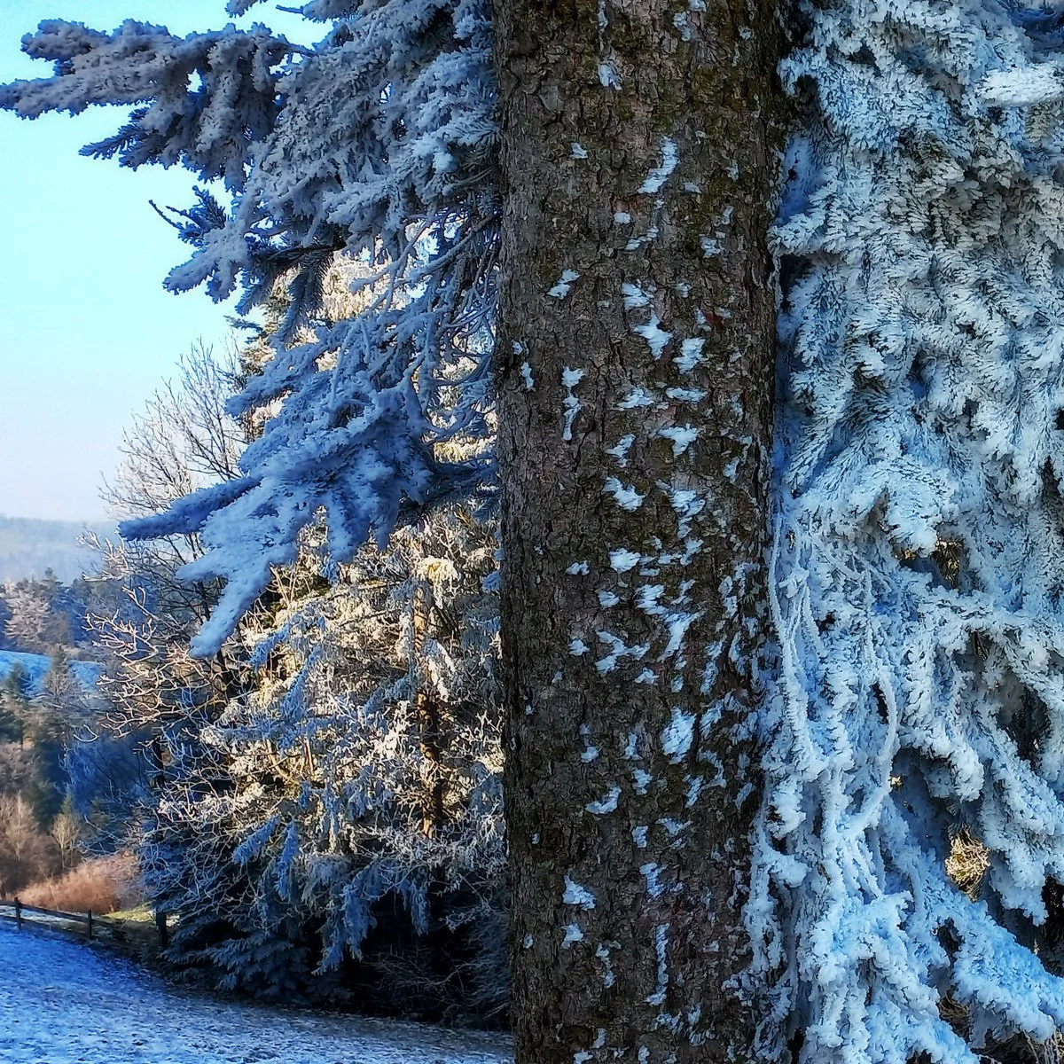 #3132 – Separation