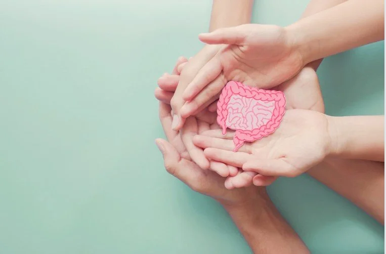 Verschillende handen die een tekening van de menselijke darm vasthouden, geplaatst op een lichte groene achtergrond.