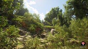 Unreal Engine 5 PCG Poplar Forest Biome | Easy Biomes