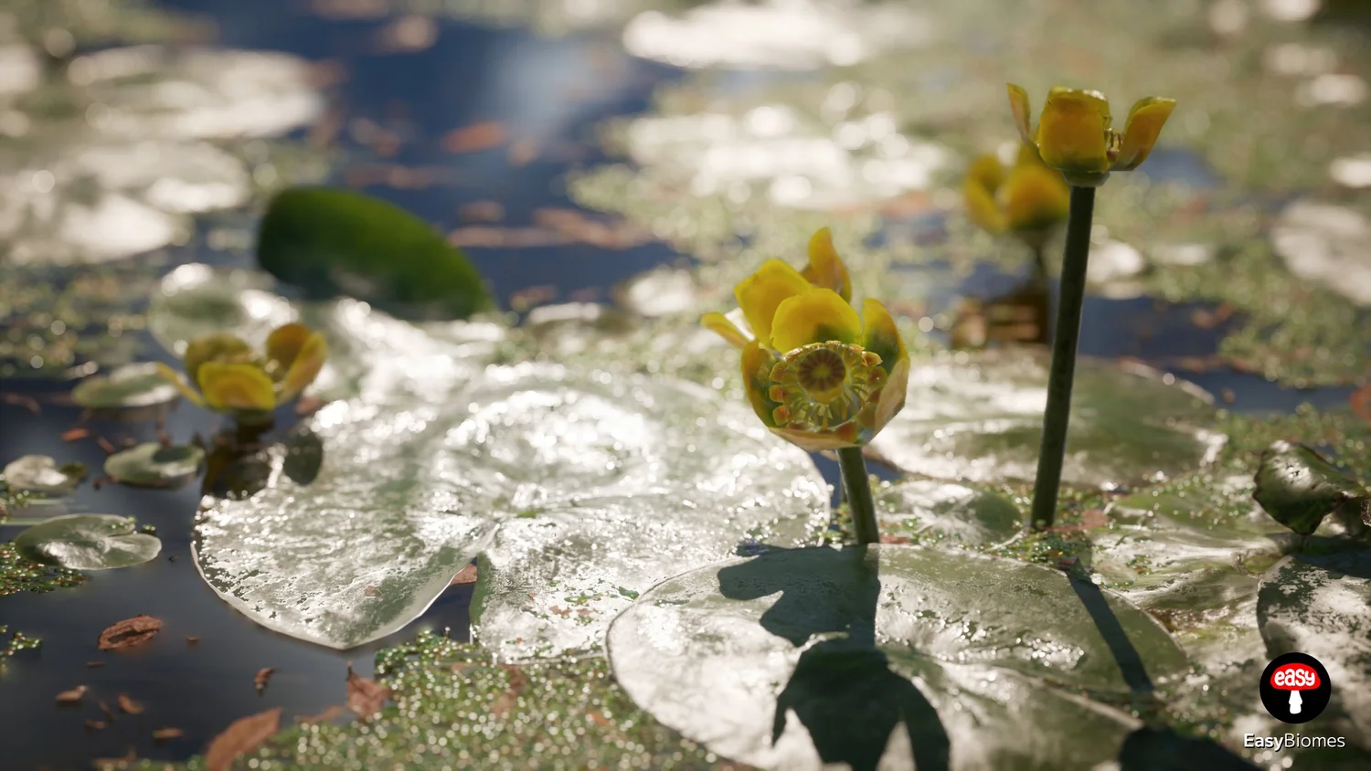 River biome wetland details