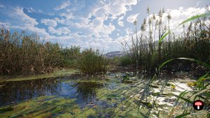 Unreal Engine 5 PCG River Biome | Easy Biomes