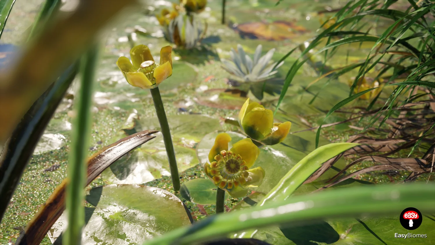 Procedural swamp and river biome environment in UE5