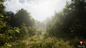 Unreal Engine 5 PCG Poplar Forest Biome | Easy Biomes