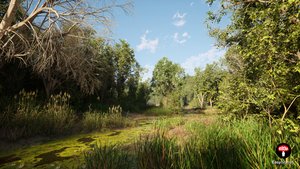 Unreal Engine 5 PCG Poplar Forest Biome | Easy Biomes