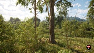 Unreal Engine 5 PCG Poplar Forest Biome | Easy Biomes