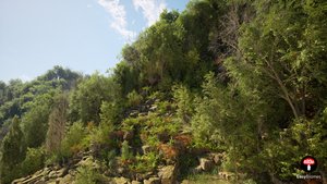 Unreal Engine 5 PCG Poplar Forest Biome | Easy Biomes
