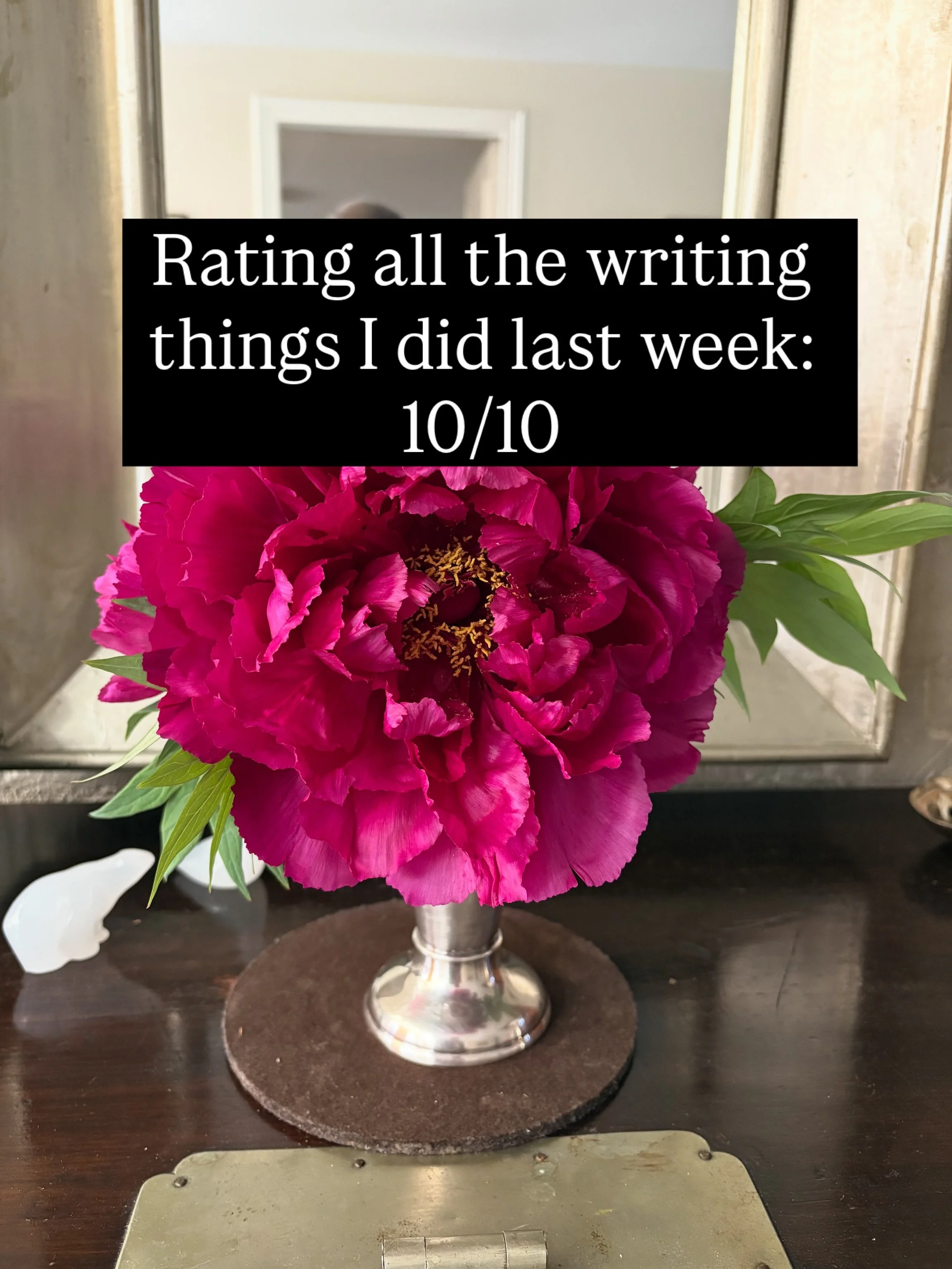 A week in the life of a writer! I rated out of ten all the writing tasks I did last week. And I&rsquo;m getting better at Canva! #writingtasks #gratefulwriter #historicalfictionwritersofinstagram #bookpromotion📚 #writinghistoricalfiction