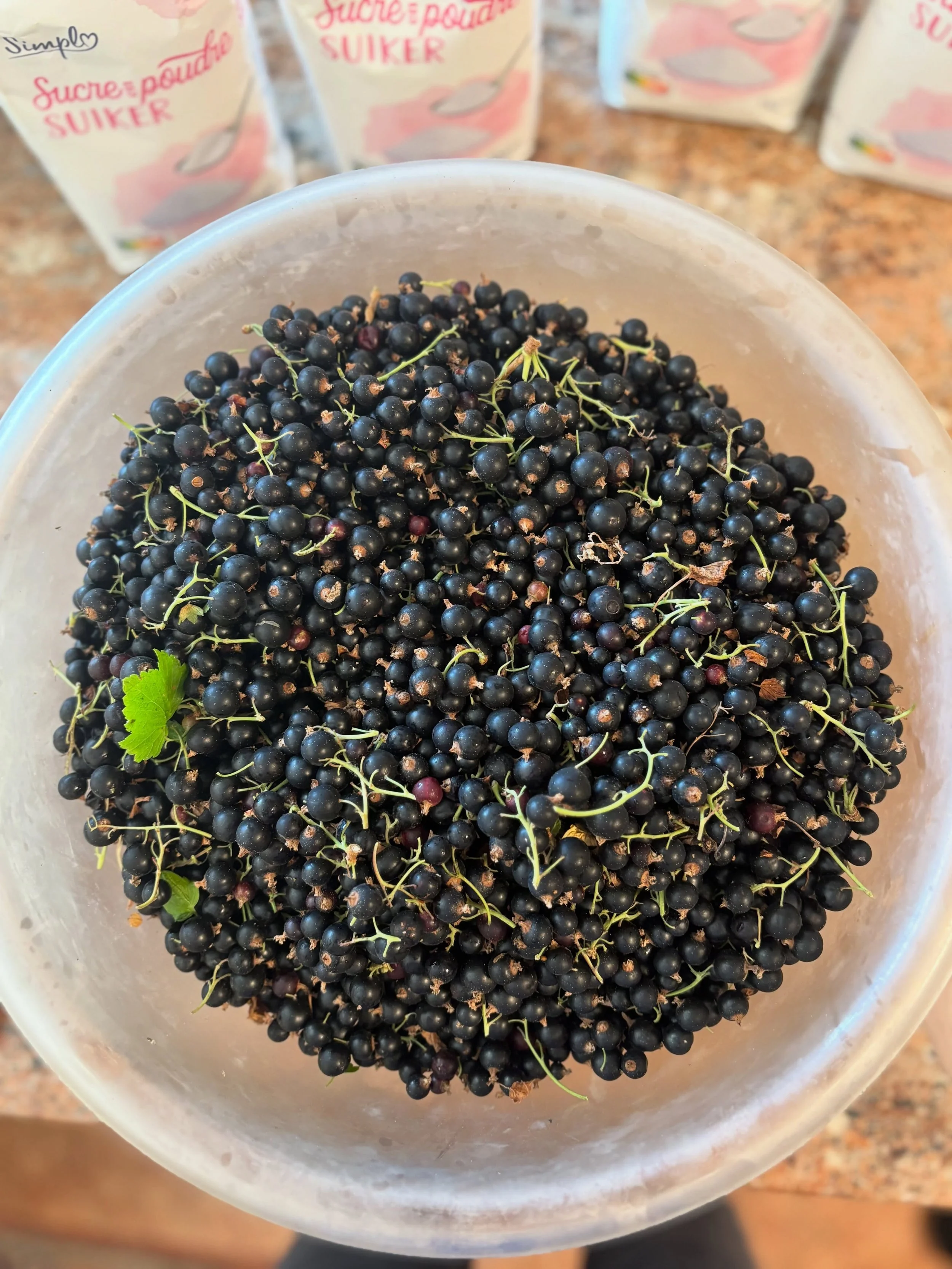 Four kilos of black currants/cassis&hellip;

that took more than four hours to pick&hellip;

Added 🍋 to reduce the sugar&hellip;

Used every glass container in the cupboards&hellip;

And we have enough blackcurrant jam until the next harvest! In bet
