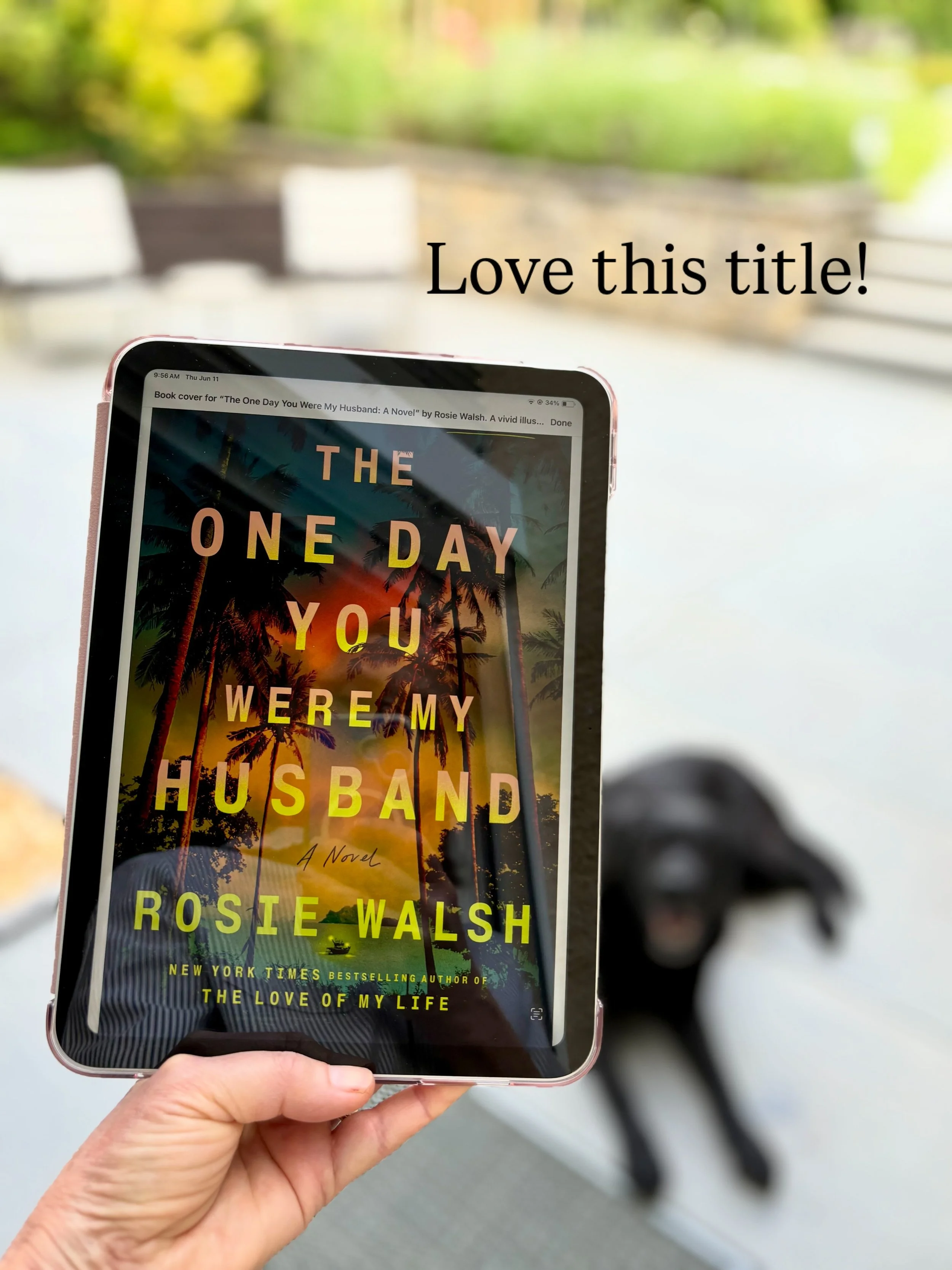 I&rsquo;m currently reading Rosie Walsh&rsquo;s THE ONE DAY YOU WERE MY HUSBAND. It&rsquo;s an intelligent, emotional and gripping thriller. Very impressed by how the title and opening line work so well in creating suspense and tension from the start