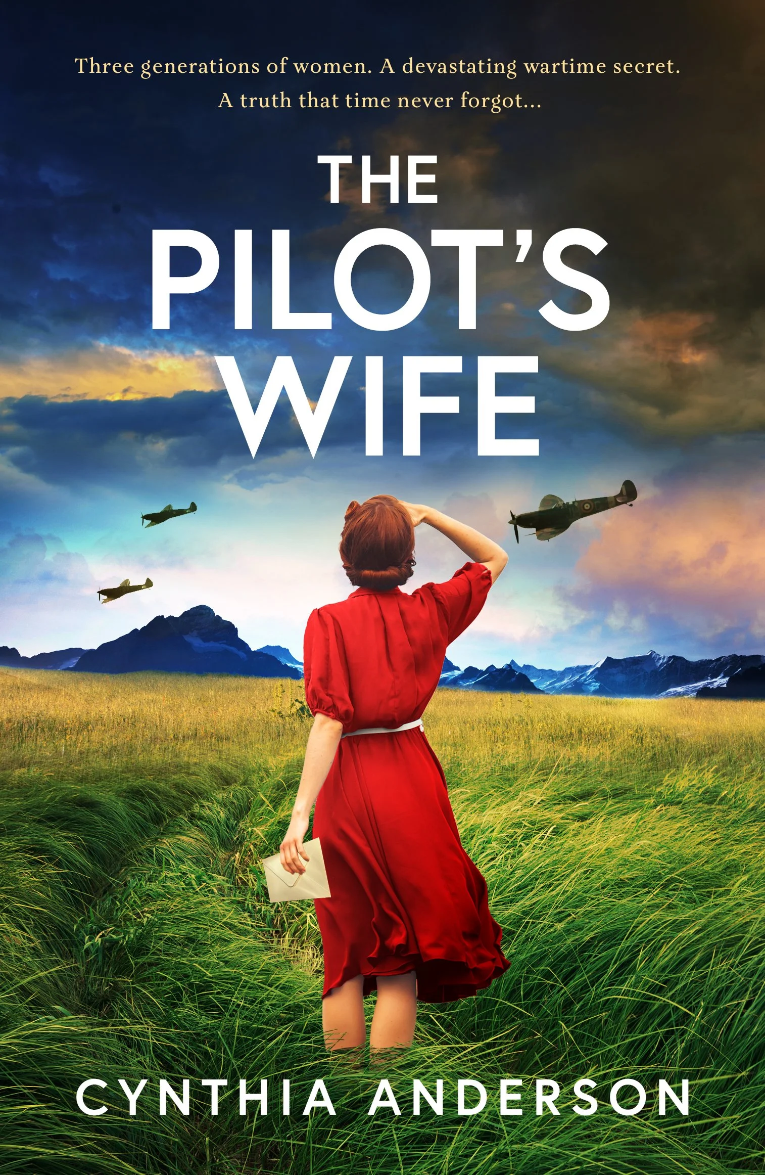 THE PILOT'S WIFE_final cover.jpg