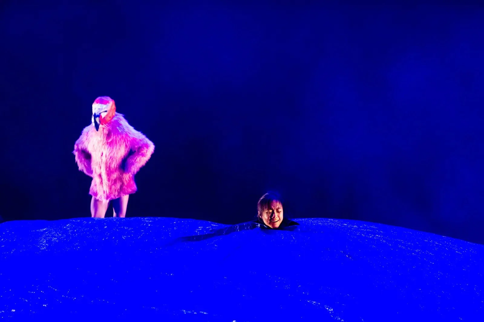 meta_eyJzcmNCdWNrZXQiOiJiemdsZmlsZXMif