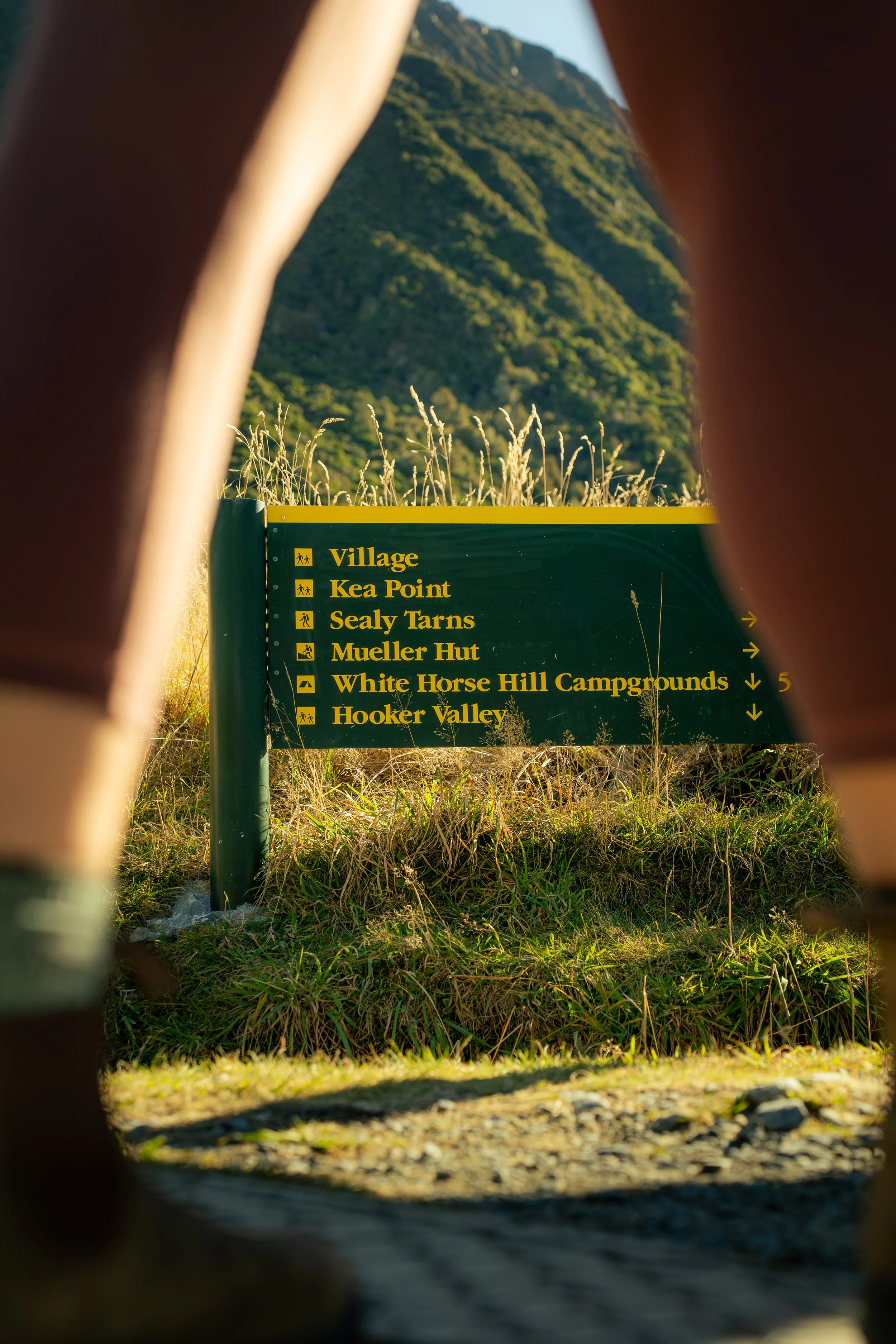 DSC02441-2.jpg