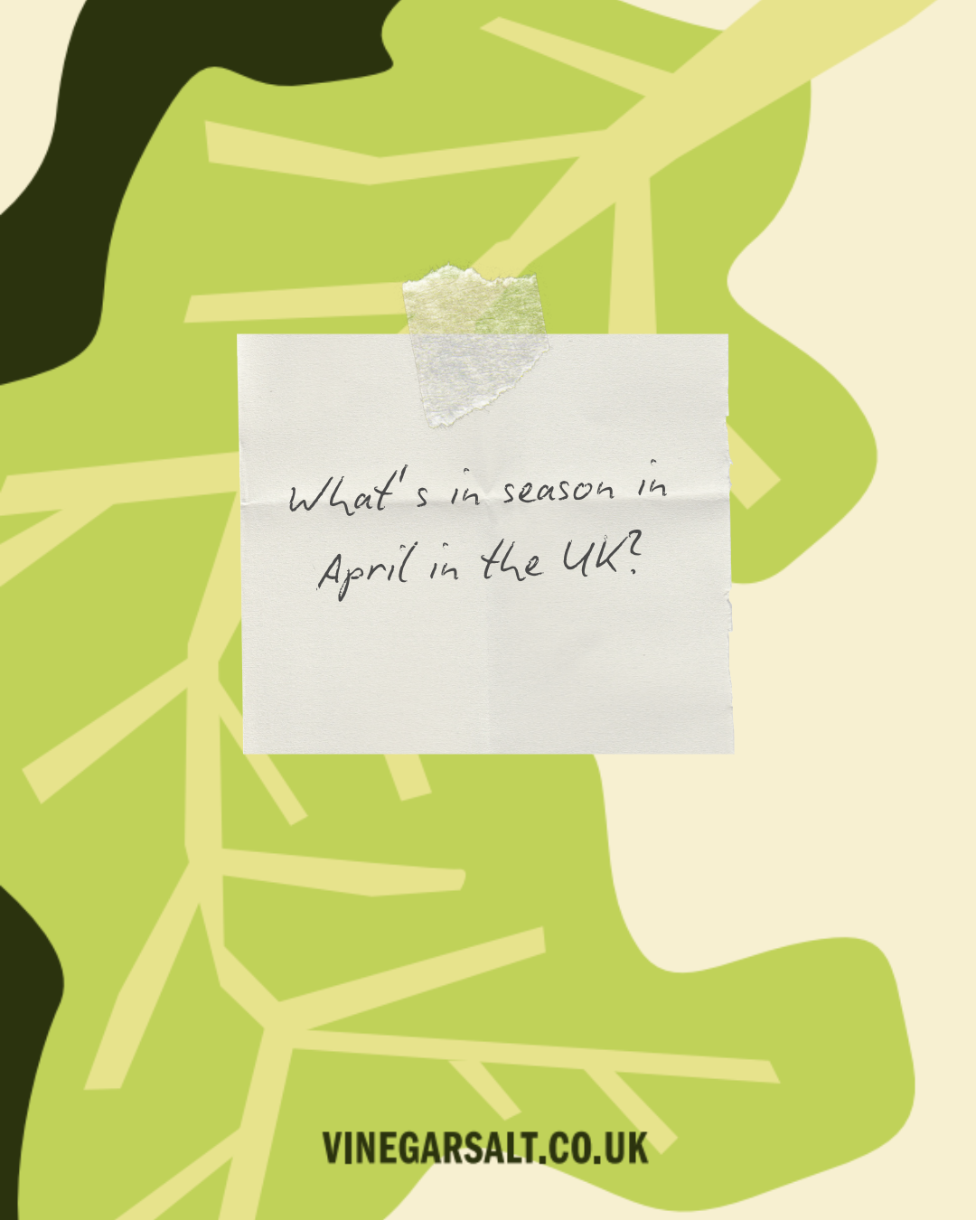 Whats in Season: April UK