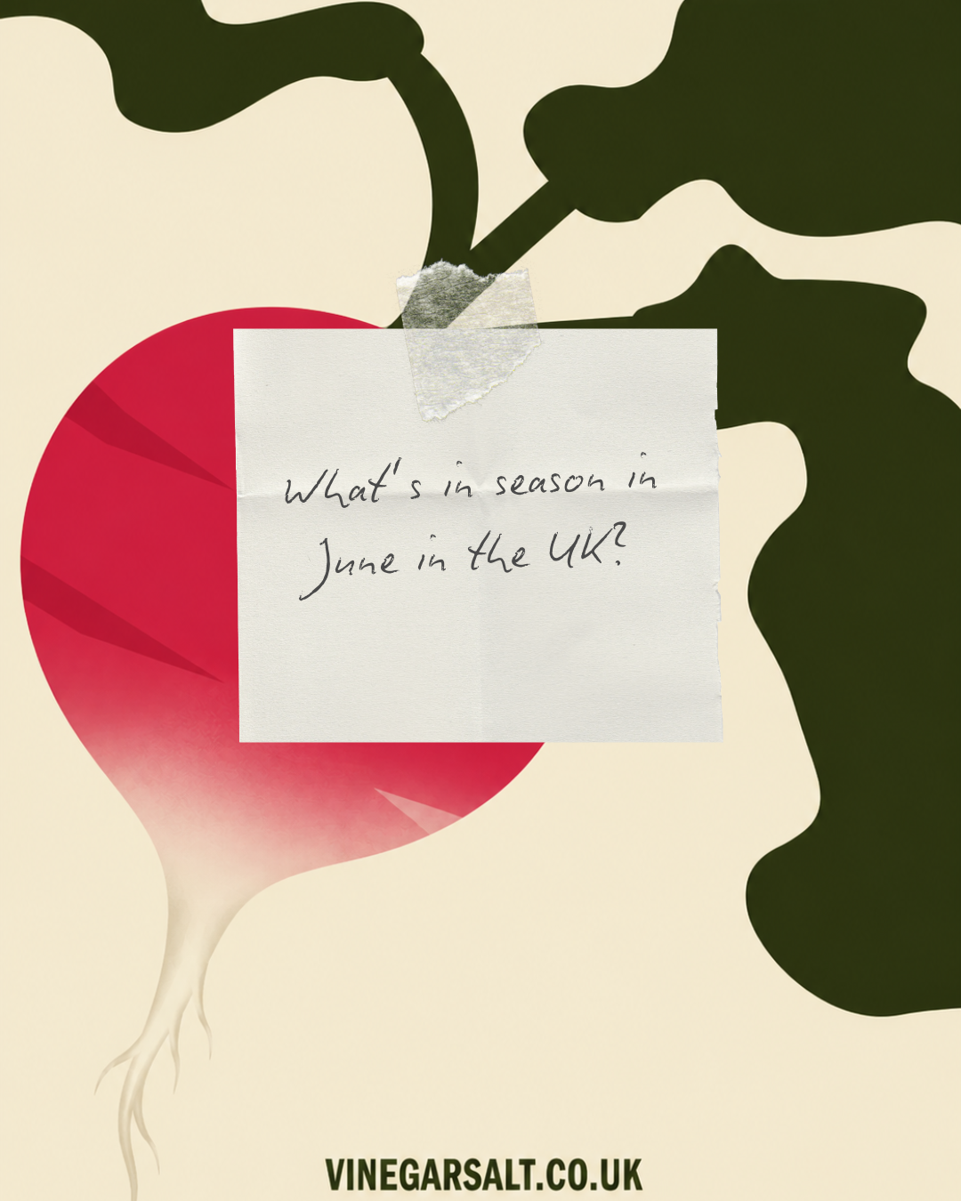 What’s in season in June in the uk?