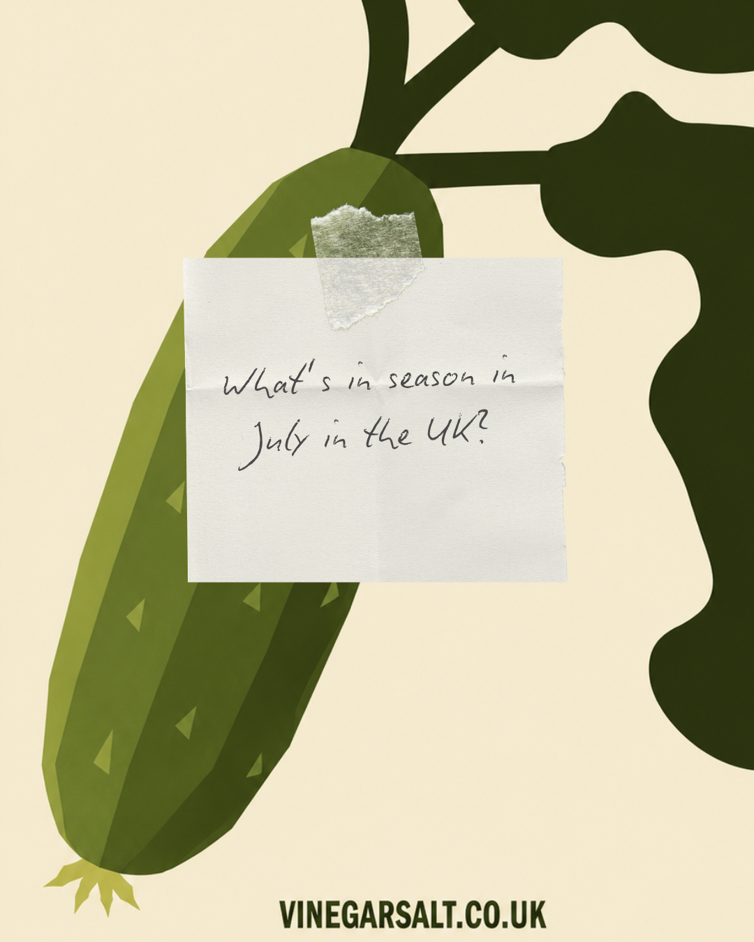 What's in Season in the UK This July (and What to Ferment With It)?