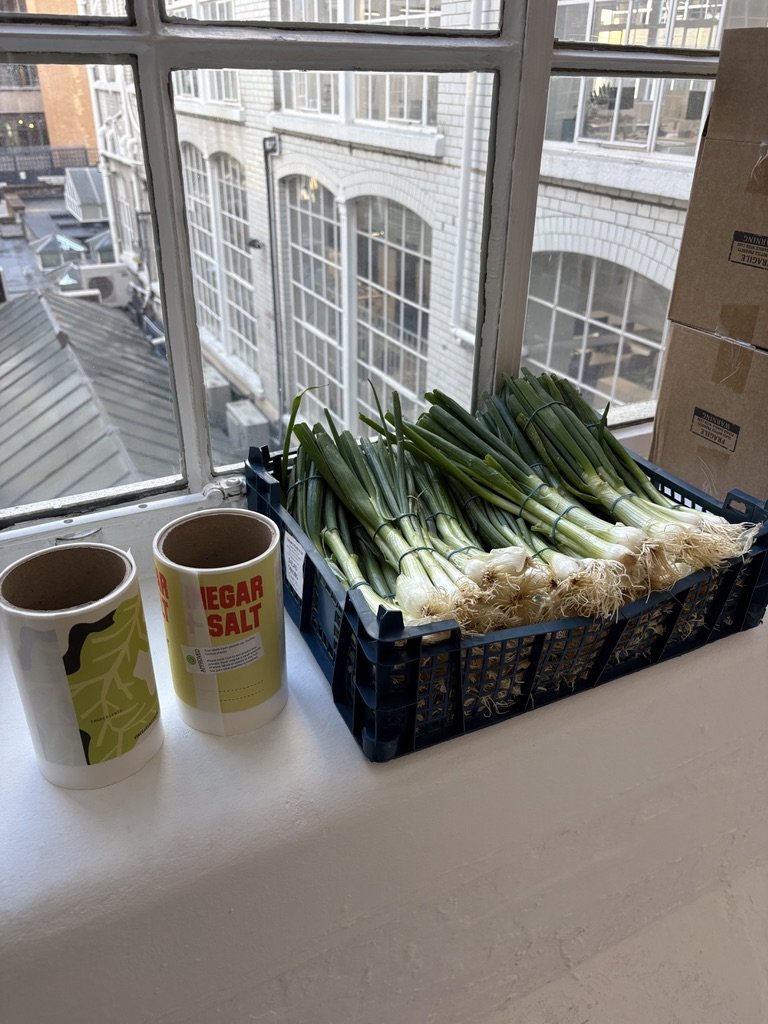 Fresh green onions in a blue plastic crate on a windowsill, with two containers labeled 'VINEGAR SALT' nearby, overlooking city buildings outside.