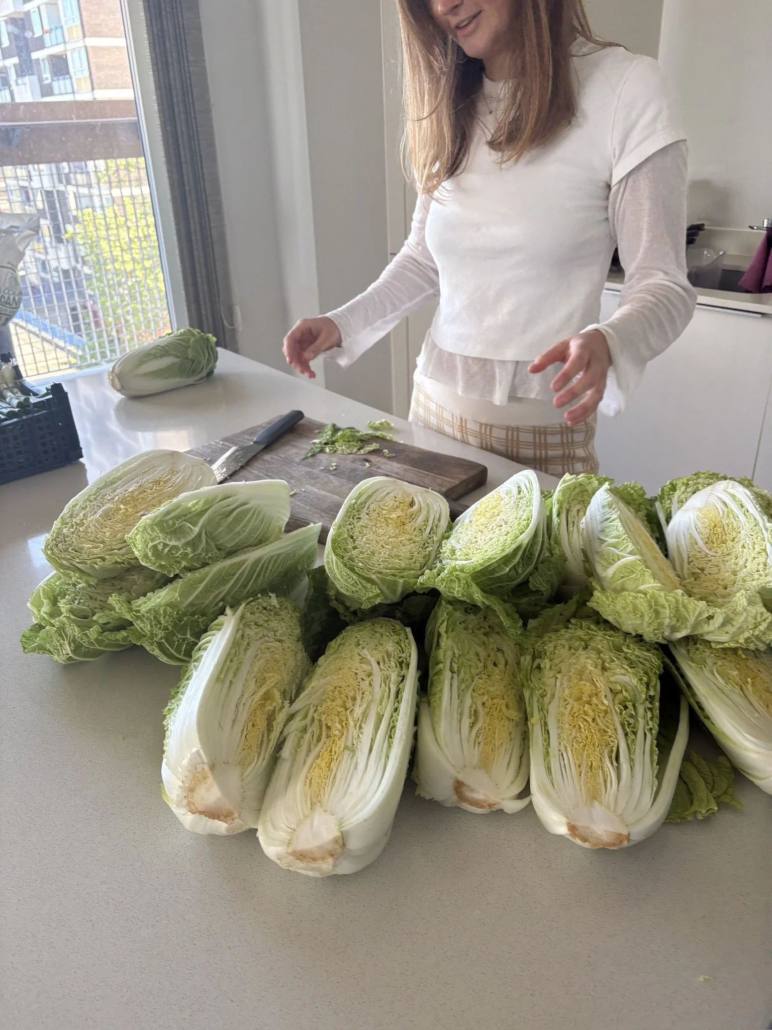 A person preparing to cut a head of cabbage on a kitchen counter, with several halved cabbage heads laid out.