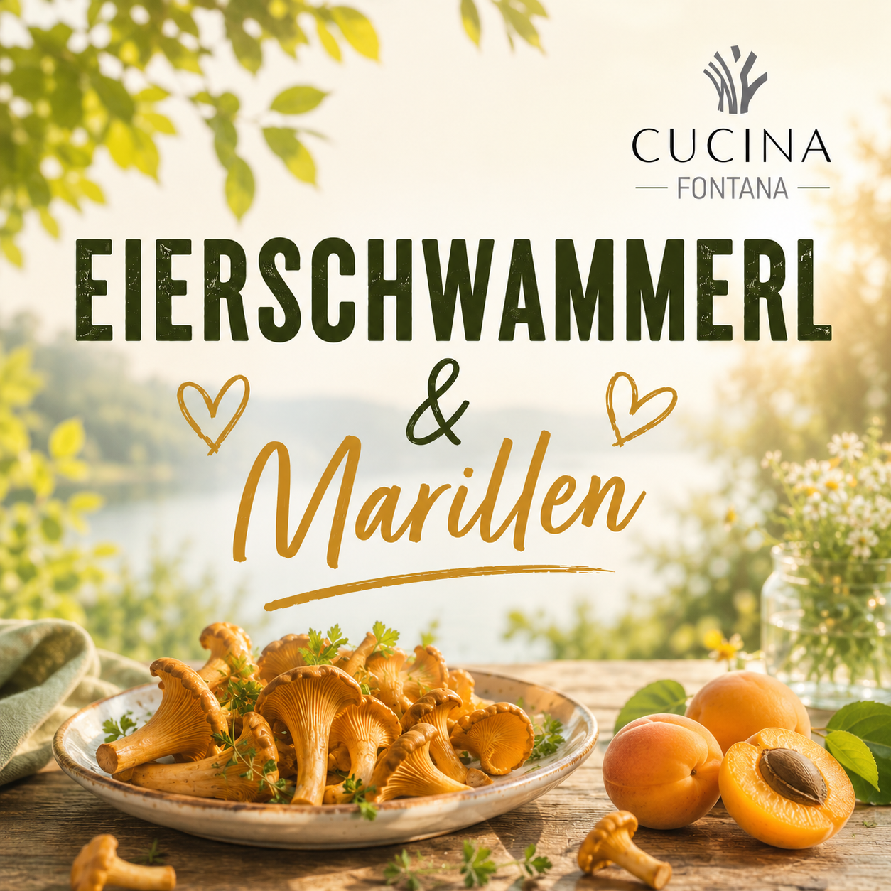 Eierschwammerl &amp; Marillen