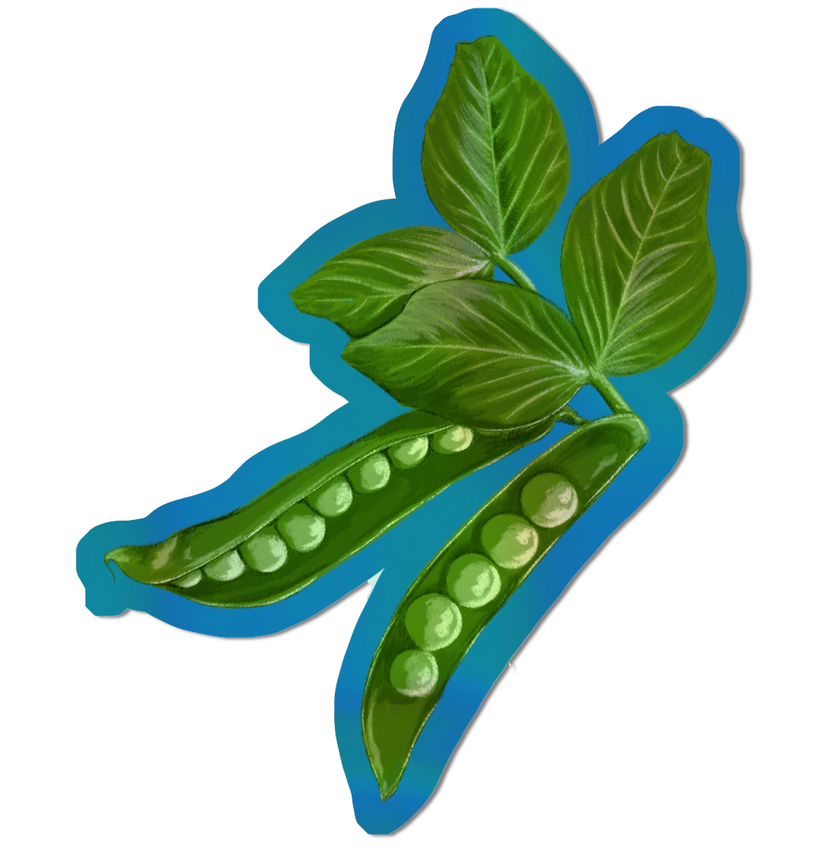 Illustrated Garden Peas Holographic die cut sticker.