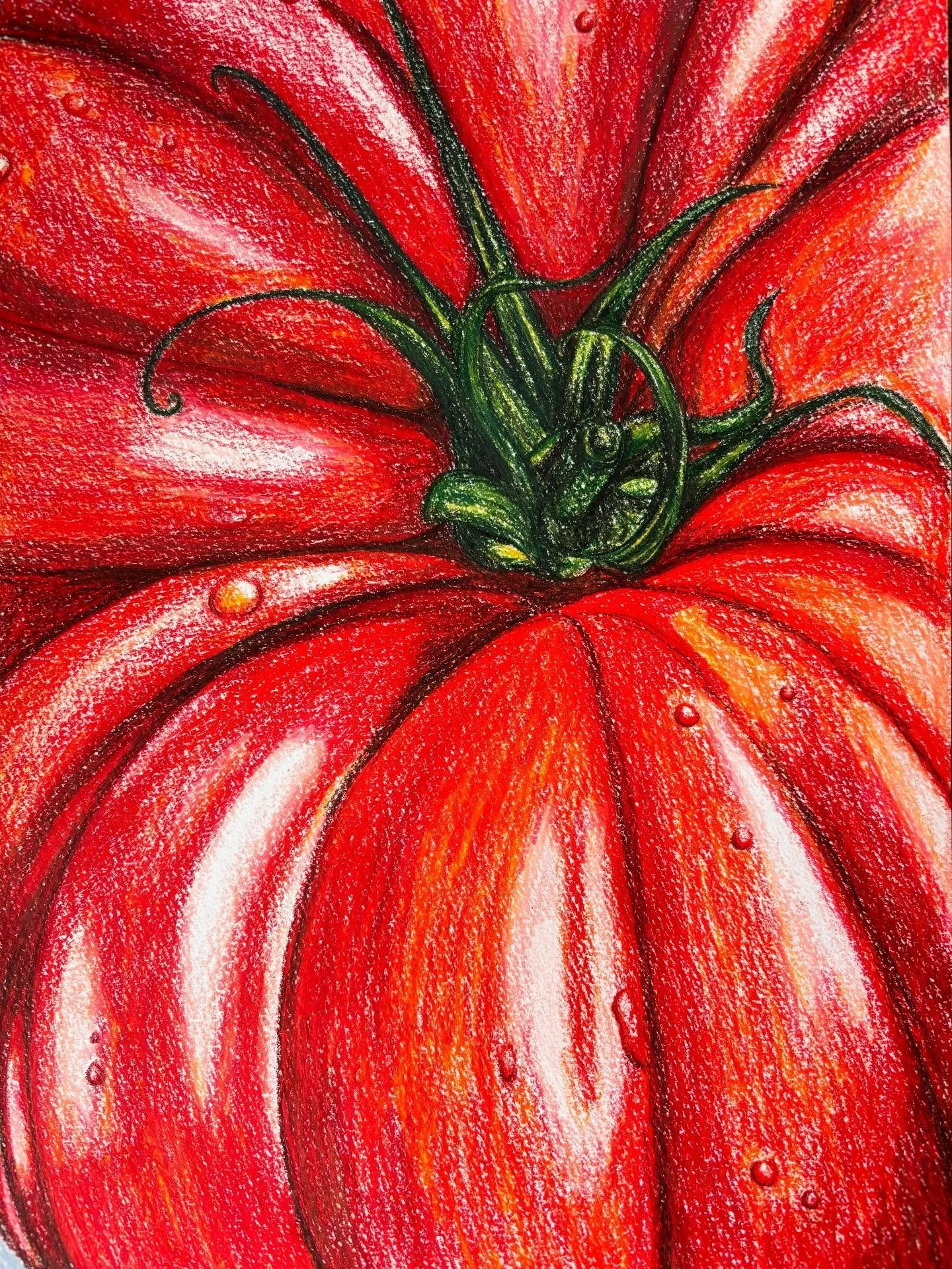 Process of drawing a big juicy Tom with @prismacolor 🍅🖍️❤️