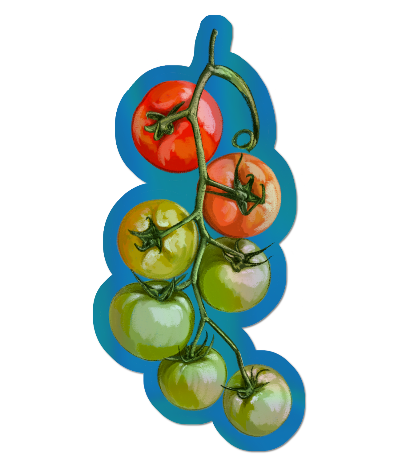 Vine Tomatoes - Holographic Sticker.png