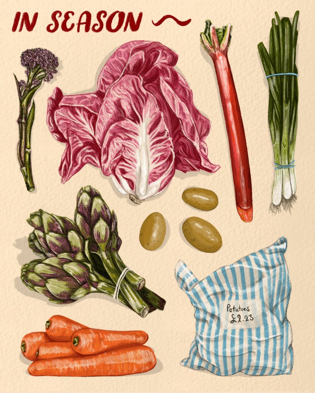 Illustration of fresh vegetables including purple broccoli, red and white radicchio, a bunch of green onions, a bundle of asparagus, three potatoes, a bunch of carrots, and a bag of potatoes labeled 22.23, with text "In Season" at the top.