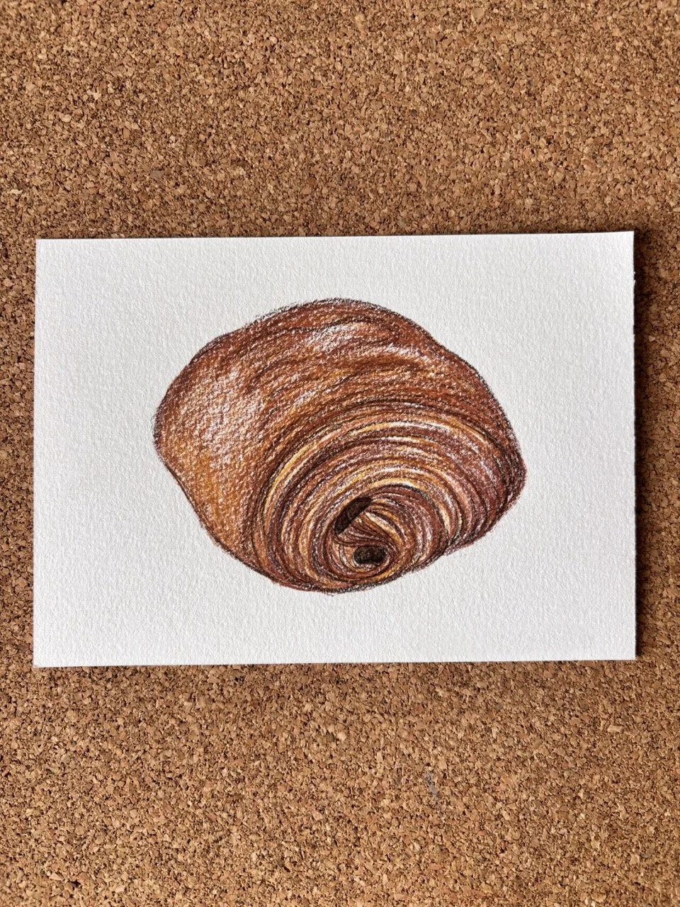 Colored pencil drawing of a snail shell on white paper, placed on a cork surface.