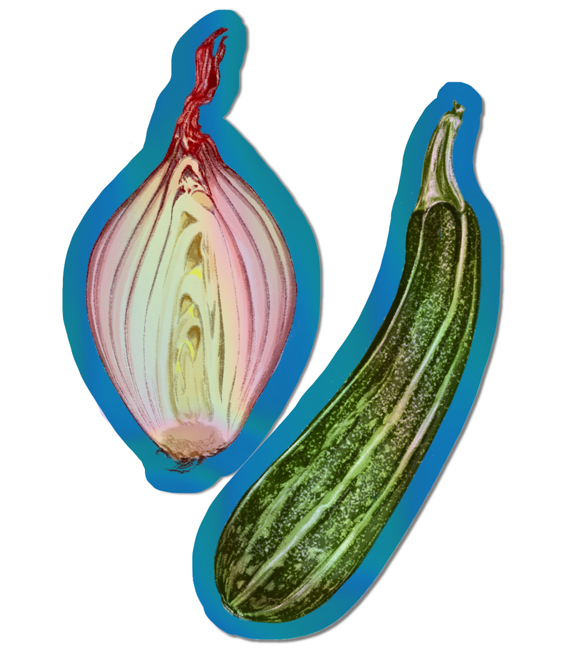 Shallot + Courgette - Stickers