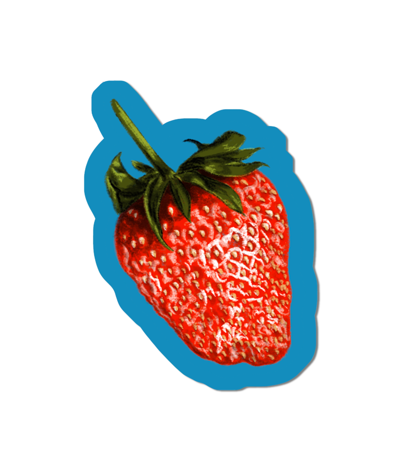 Strawberry - Glossy Sticker.png