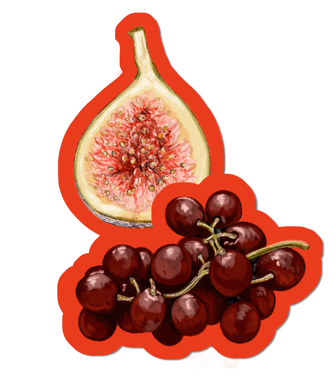 Fig + Grapes - Stickers
