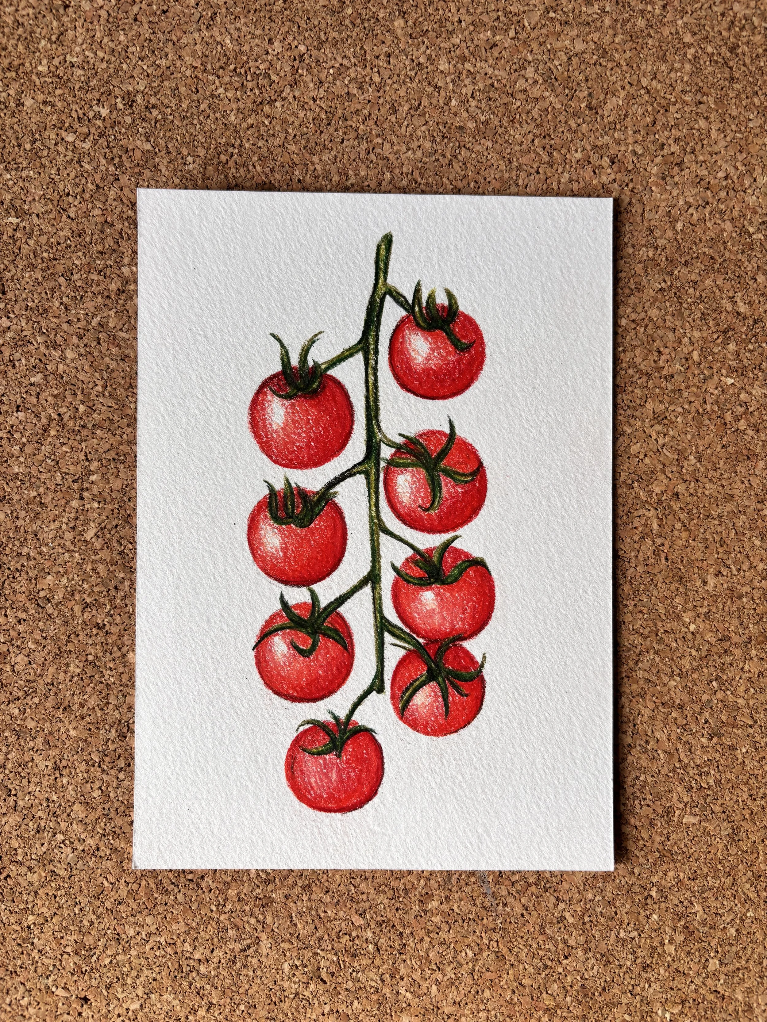 Colorful illustration of a bunch of red tomatoes on a vine on a white textured paper background, placed on a corkboard surface.