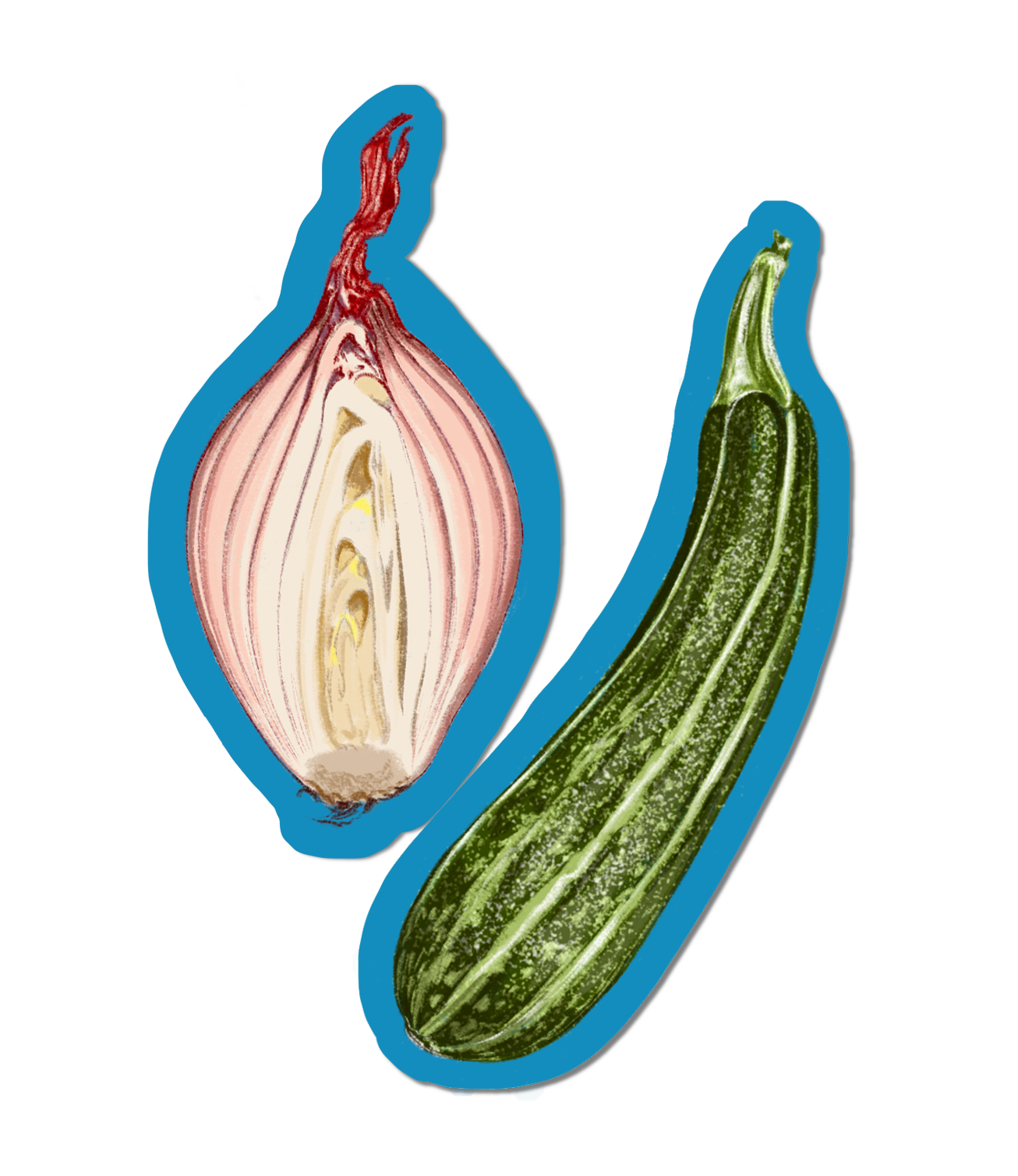 Shallot and Courgette - Glossy Sticker.png