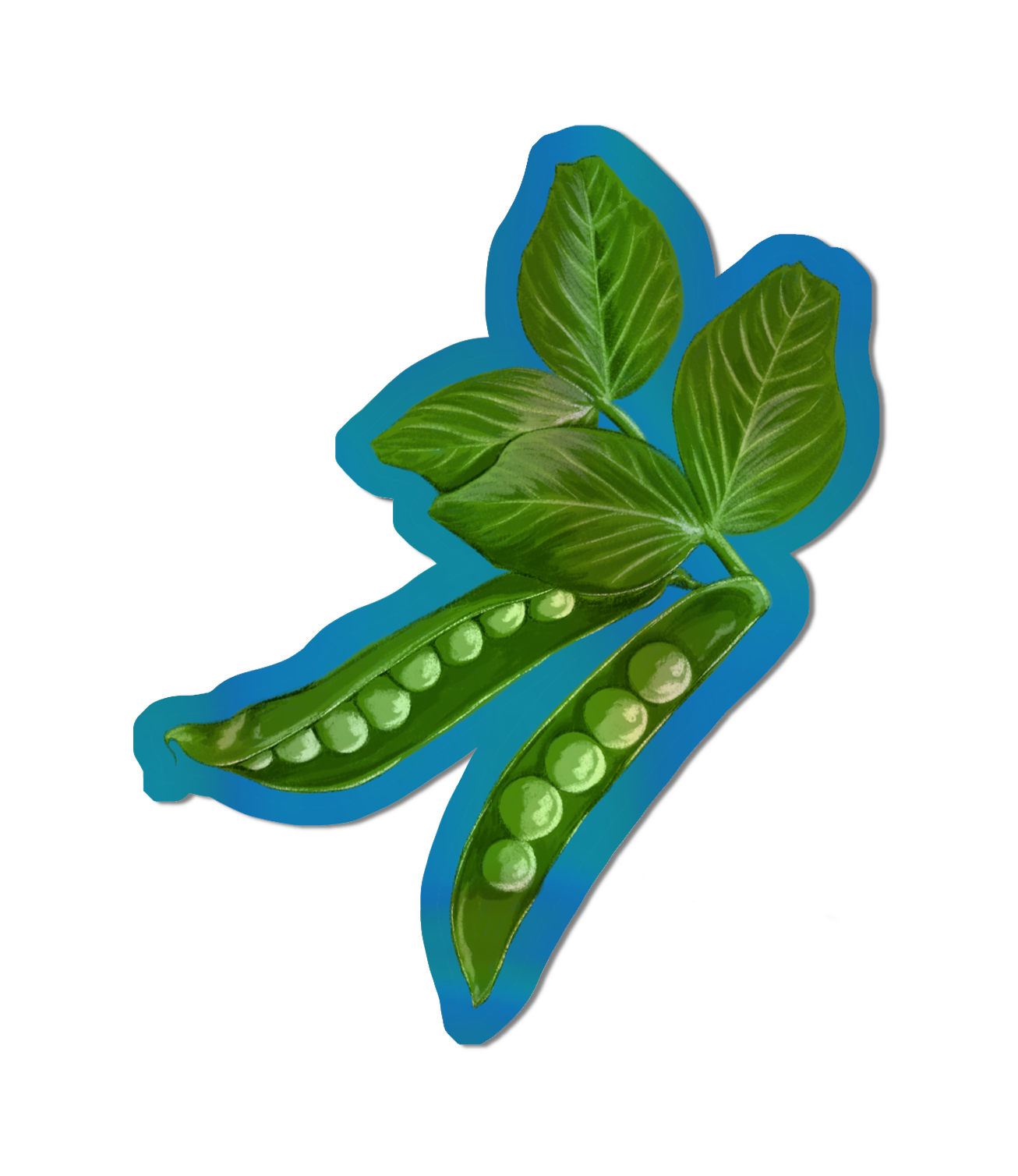 Garden Peas - Holographic Sticker.png