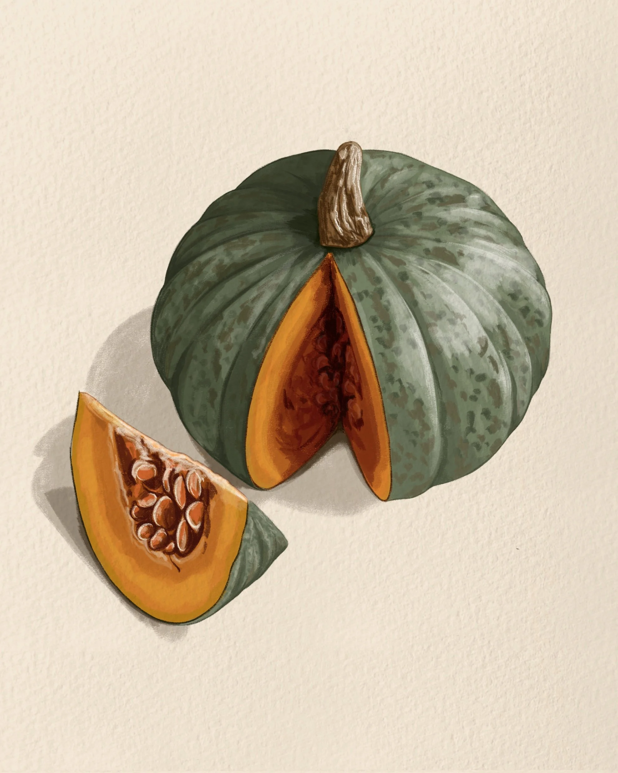 Illustration of green delica pumpkin with one slice cut out showing orange interior.
