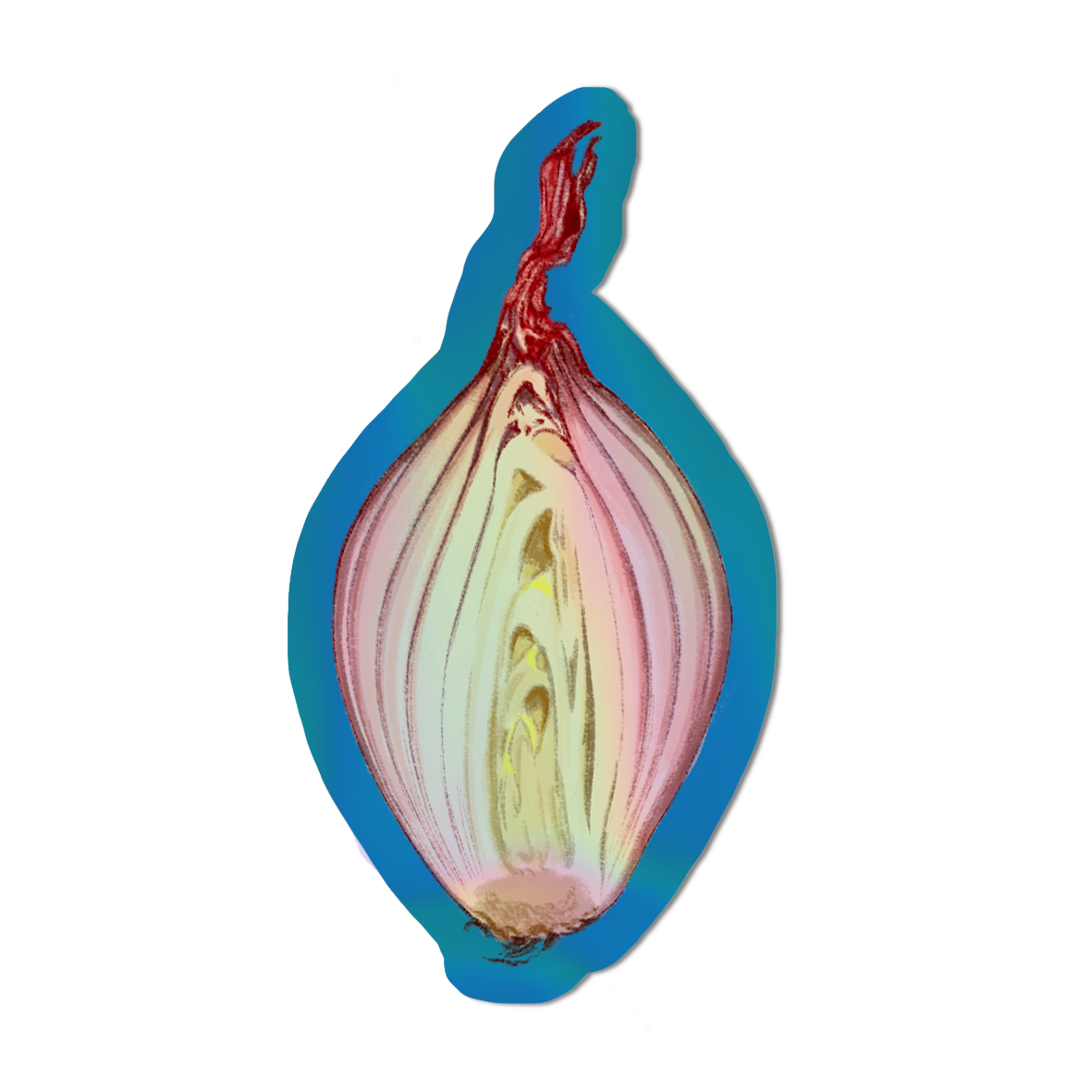 Illustrated shallot Holographic die cut sticker.