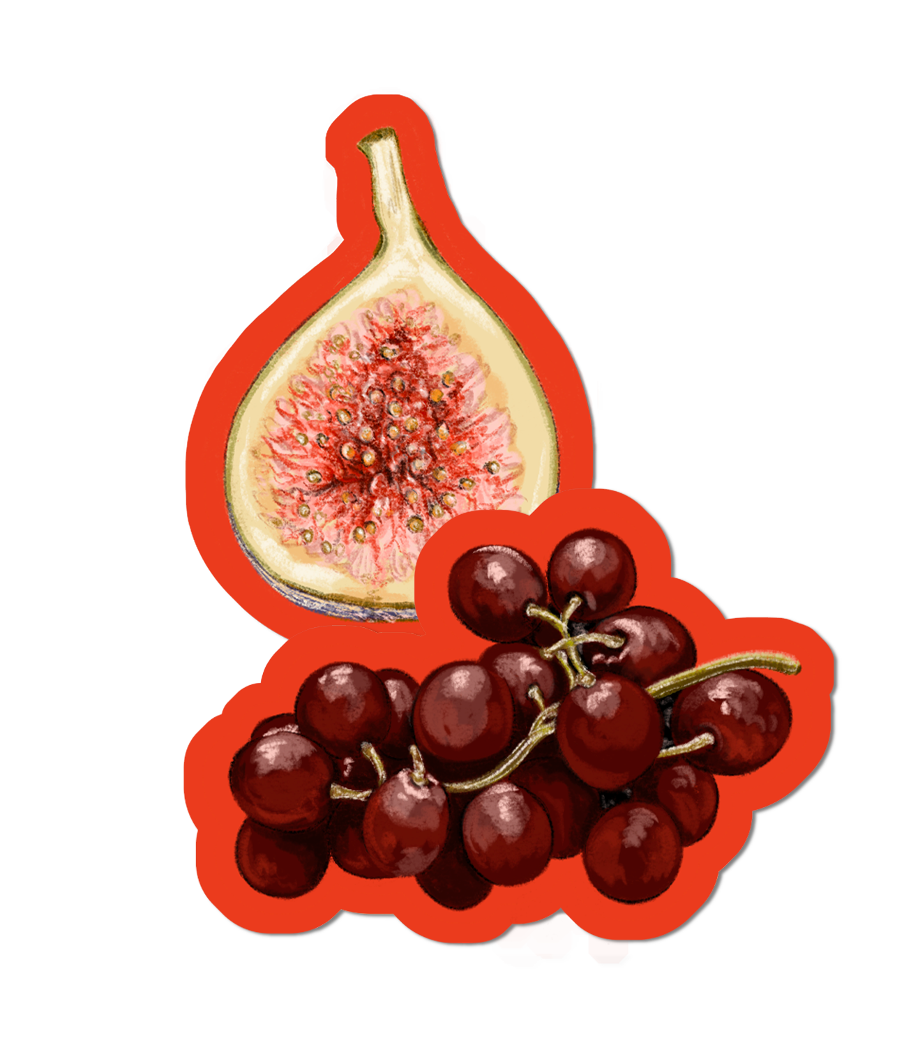 Fig and Grapes - Glossy Sticker.png