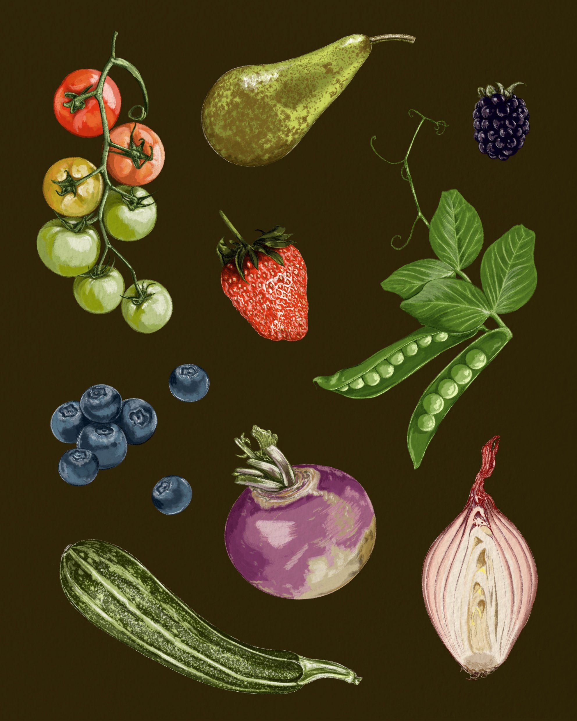 Illustration of various garden fruits and vegetables on a dark brown background, including tomatoes, a pear, a strawberry, blueberries, a green pea pod, shallot, courgette and a swede.
