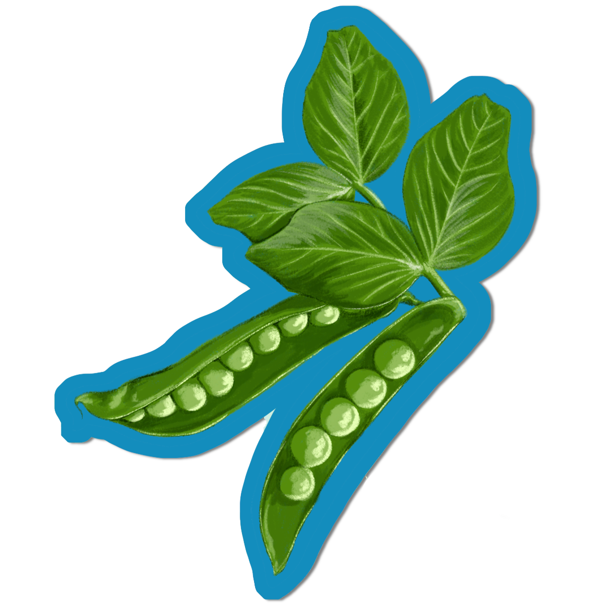 PEAS.png