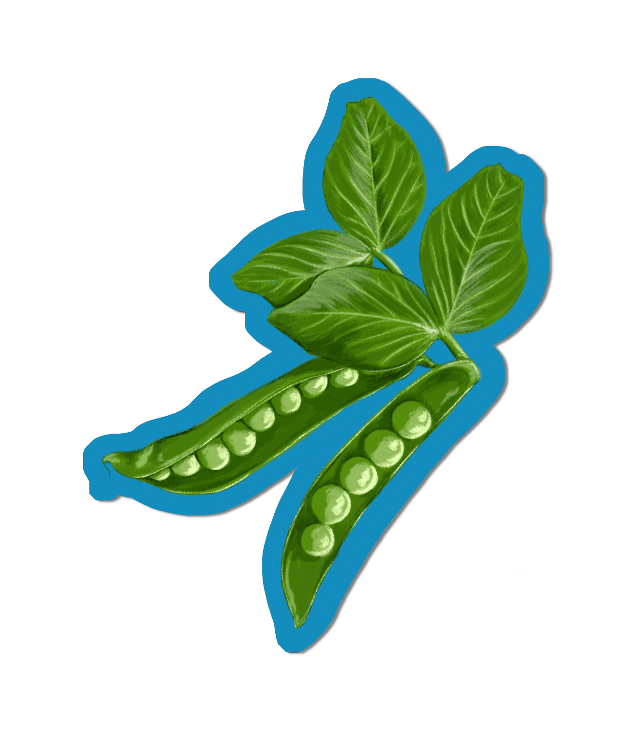 Garden Peas - Glossy Sticker.png